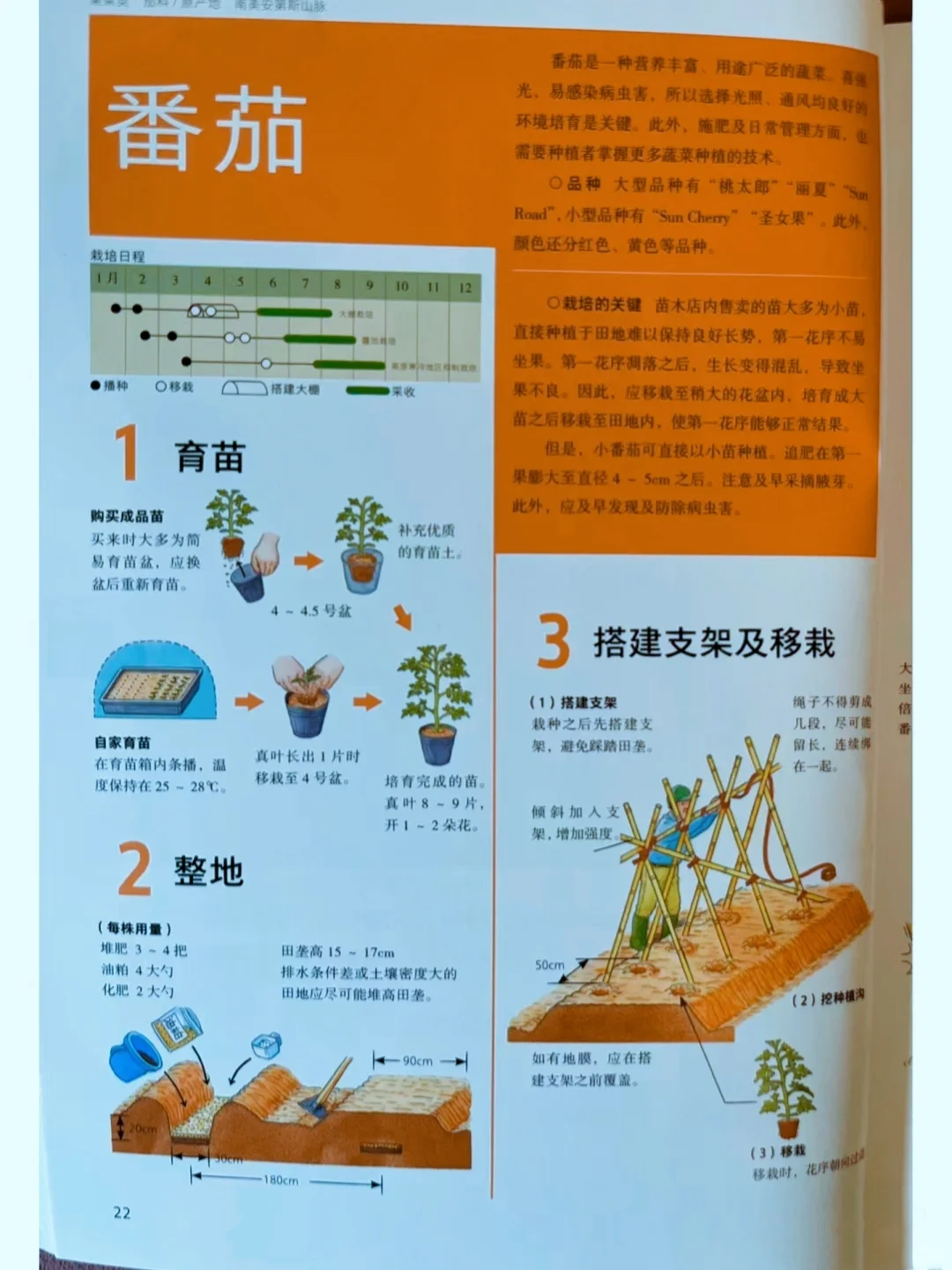 网文素材?常见农作物蔬菜生长周期?