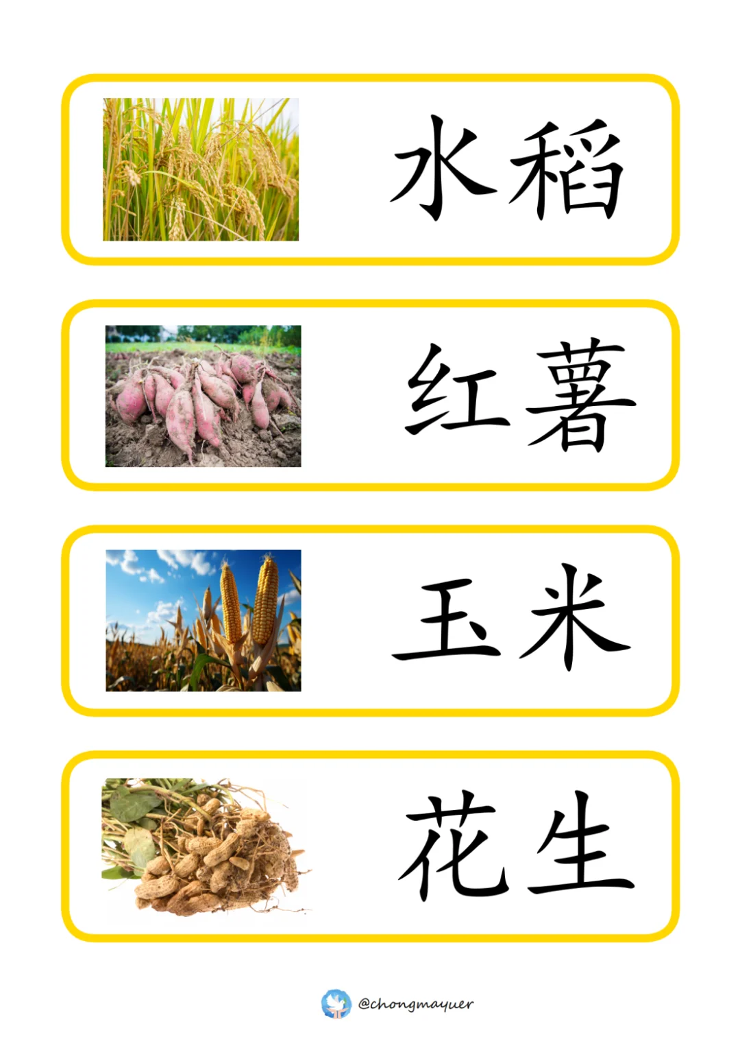 常见秋天农作物词汇卡