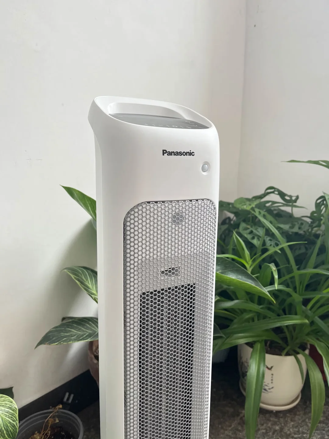 谁能拒绝这款小家电呢～