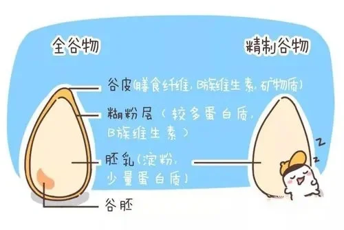 ?什么是全谷物?吃它有什么好处?