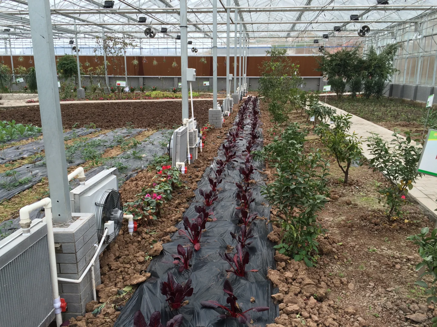 草莓种植槽，大棚栽培水槽：大棚工厂发货