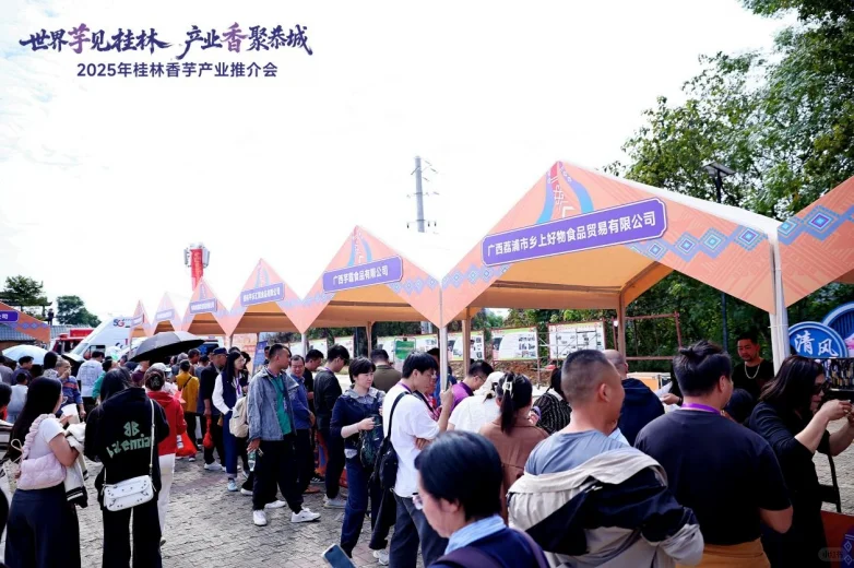 2025年桂林香芋产业推介会在恭城成功举办