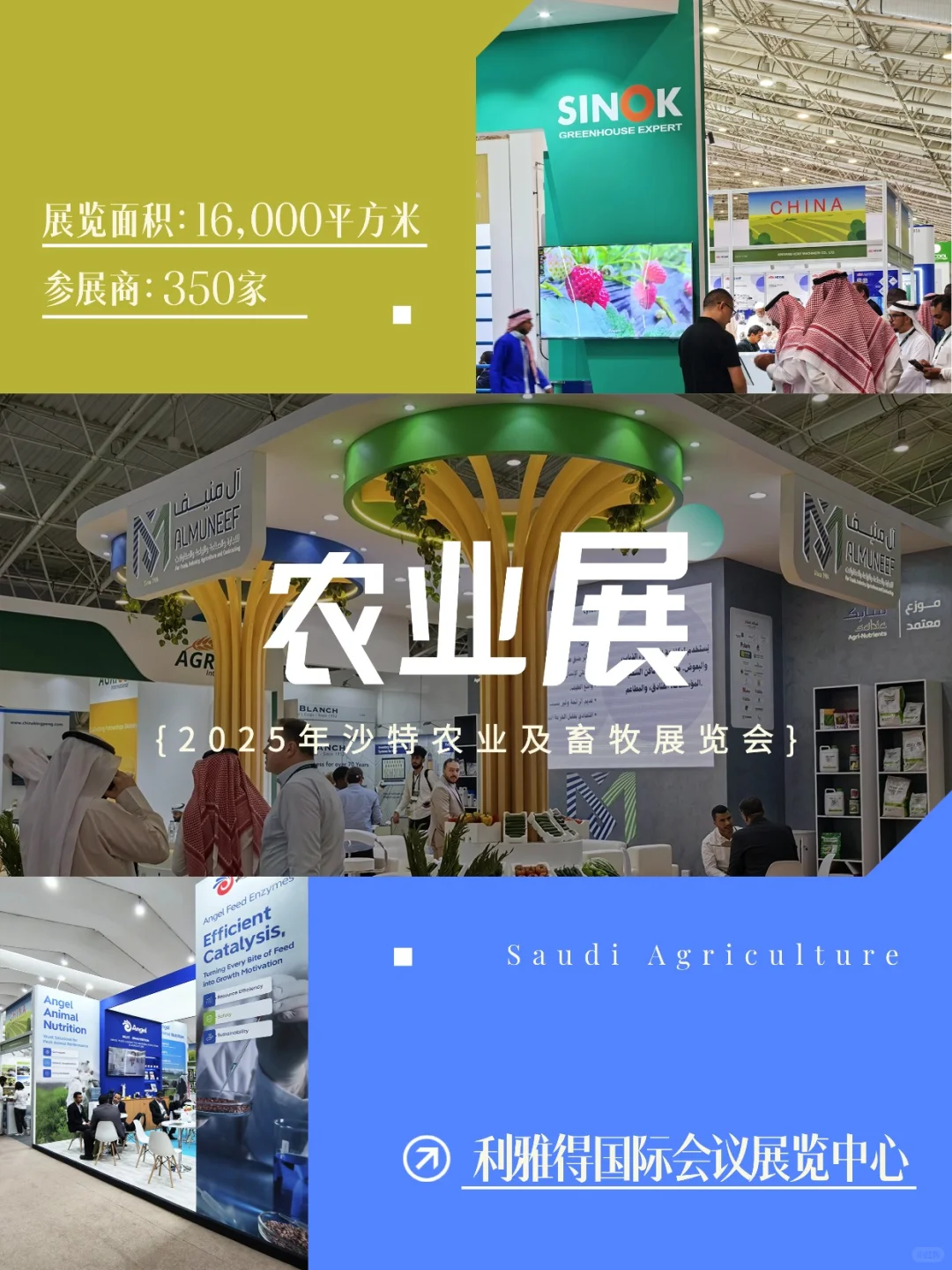 沙特农业展收官,中东粮仓的窗口正在敞开