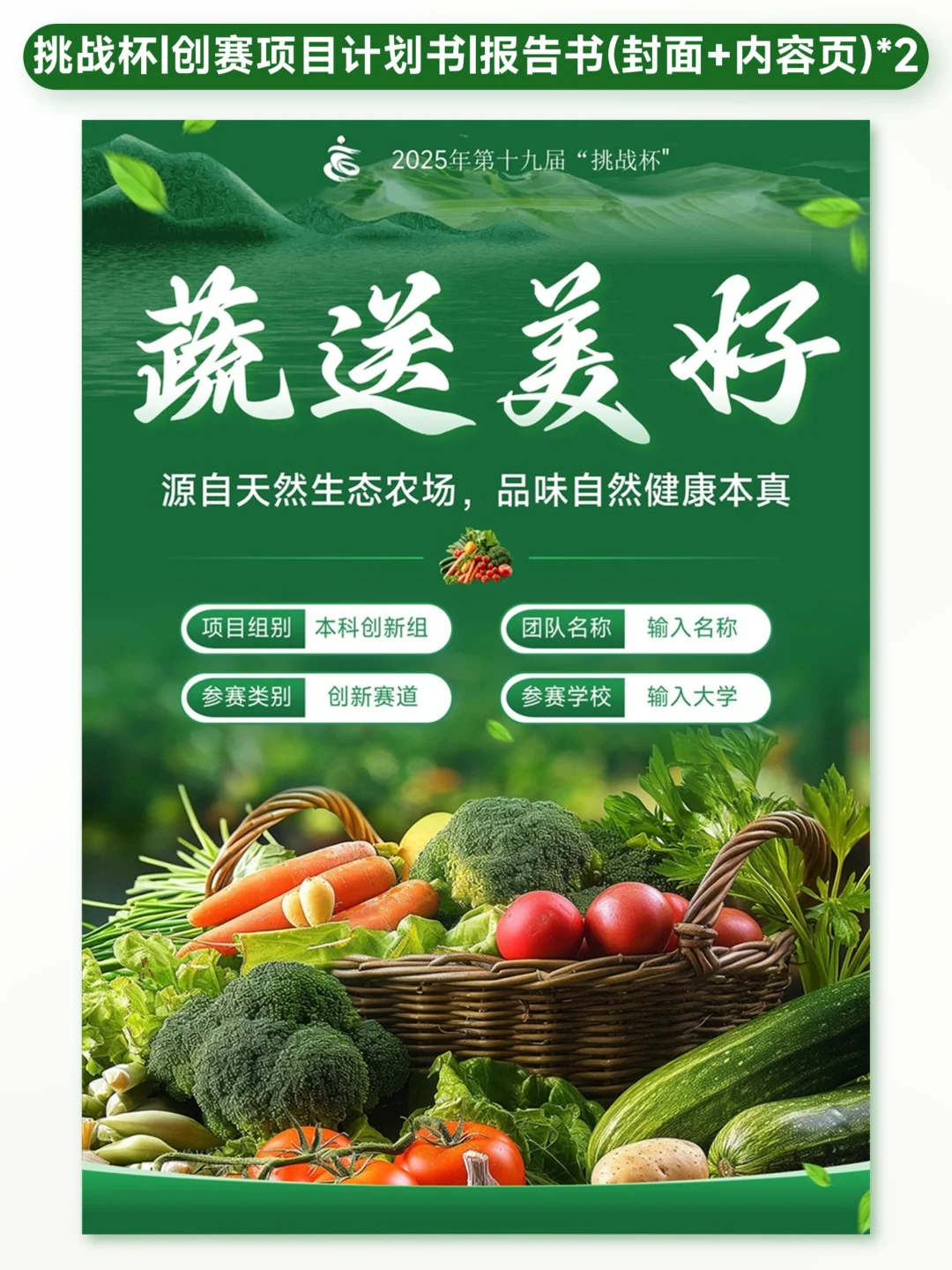 蔬菜主题创赛计划书封面内页模板?