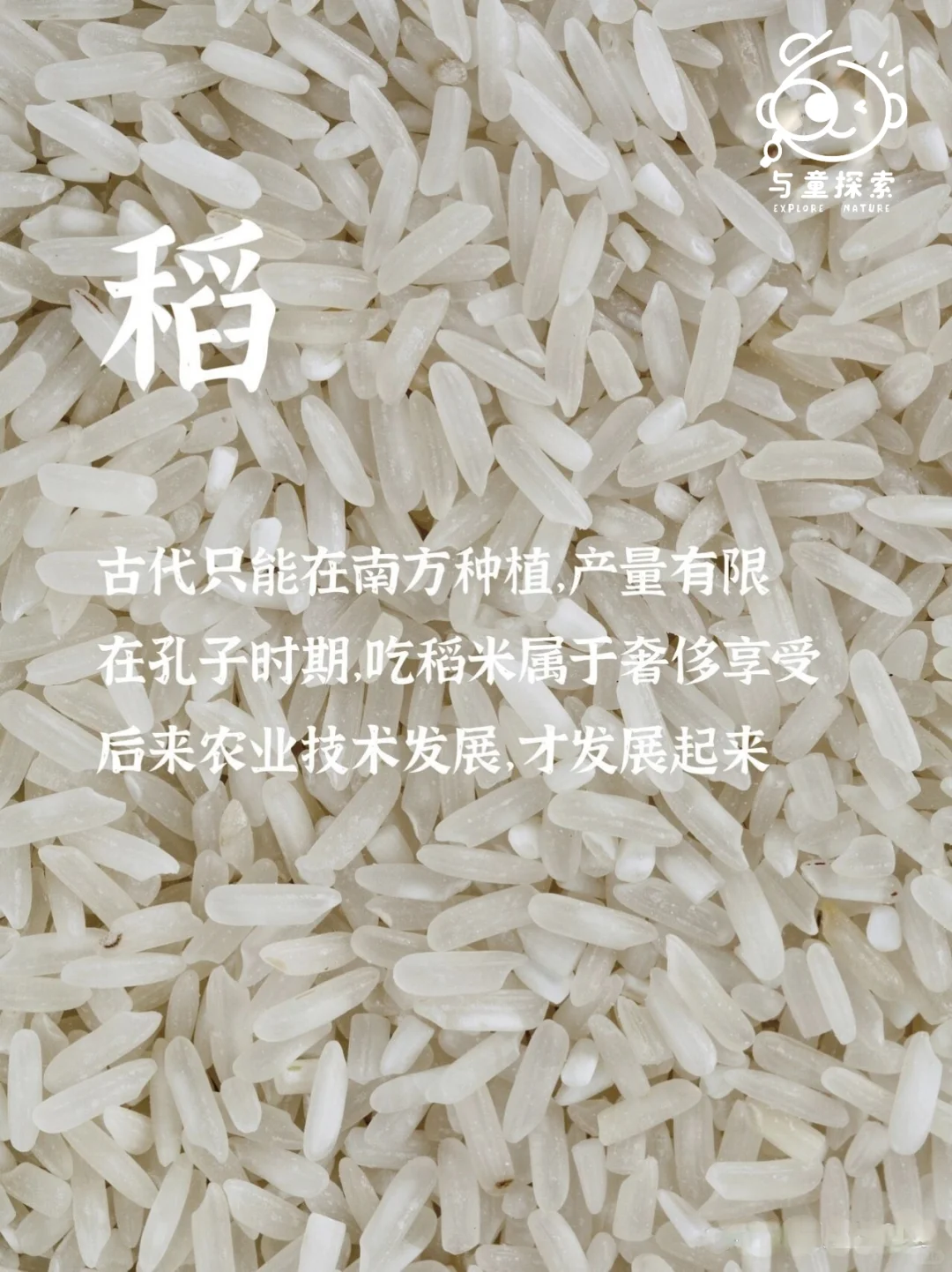 ??‍?小小农场主，大大成长旅！?‍??