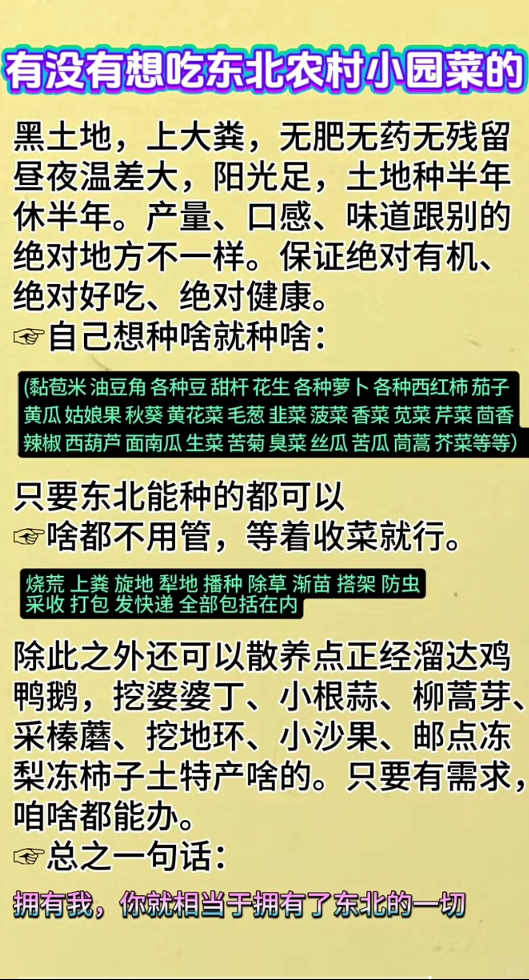 出租东北农村小园子