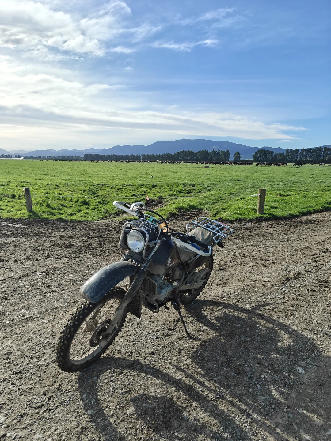 whv在新西兰放牛时薪27刀,一周50小时