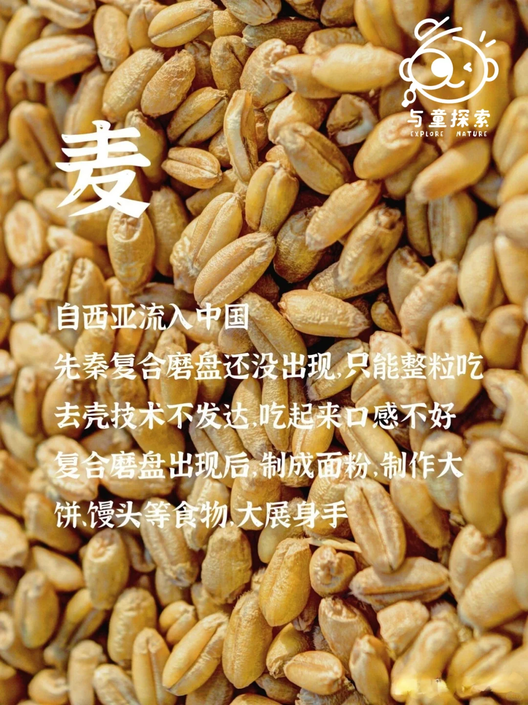 ??‍?小小农场主，大大成长旅！?‍??