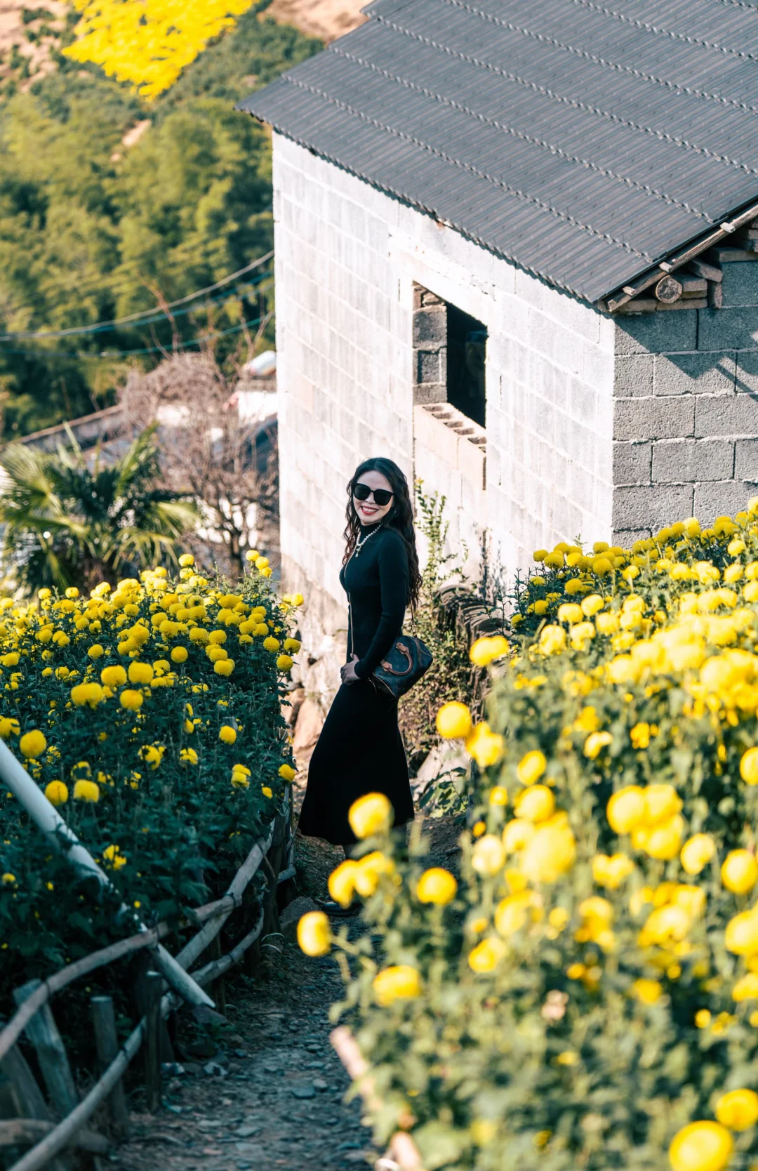 皖南的秋:待到徽州秋尽日，我花开后百花杀