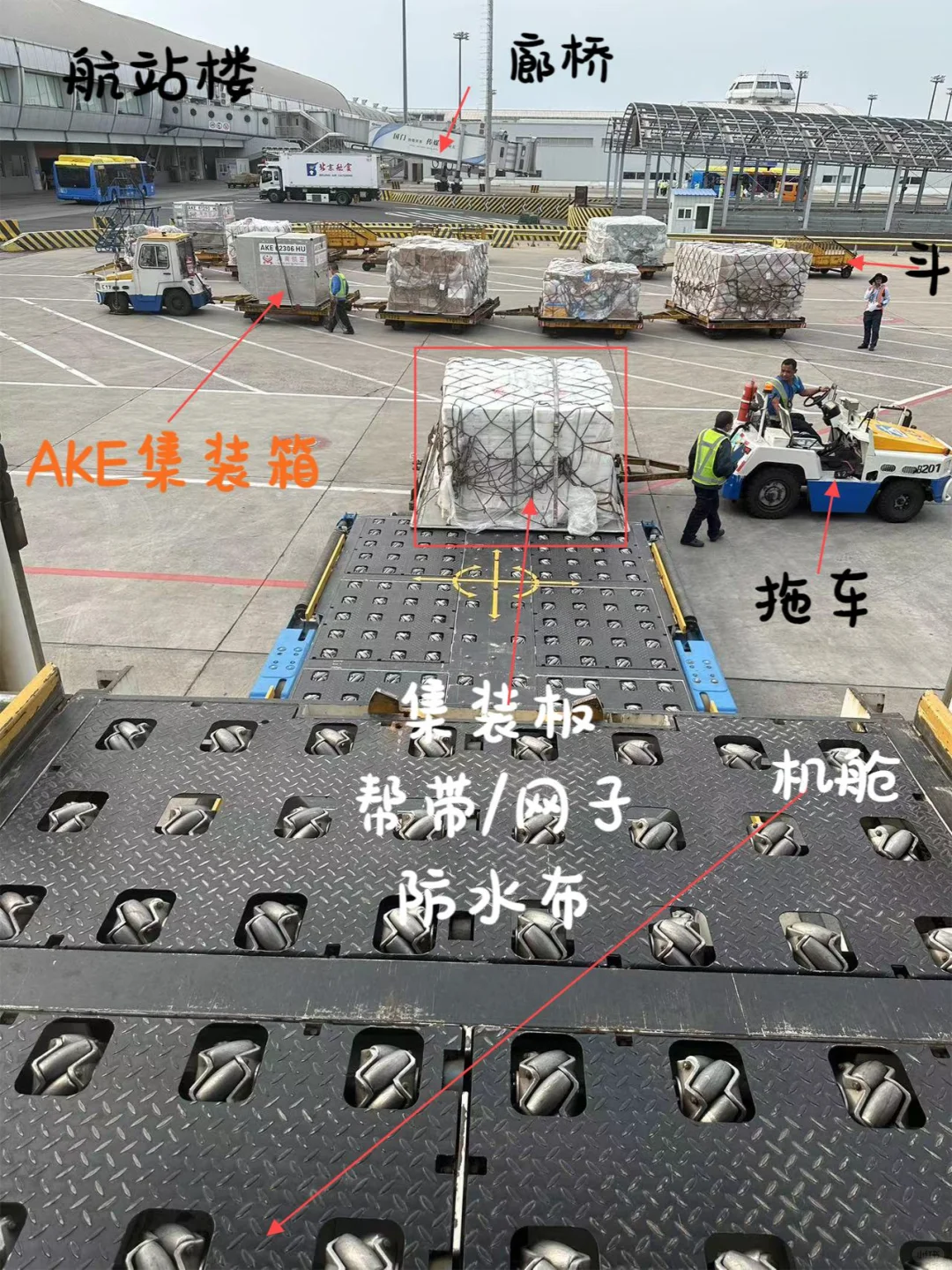 在飞机场经常能看到的那些东东都是什么