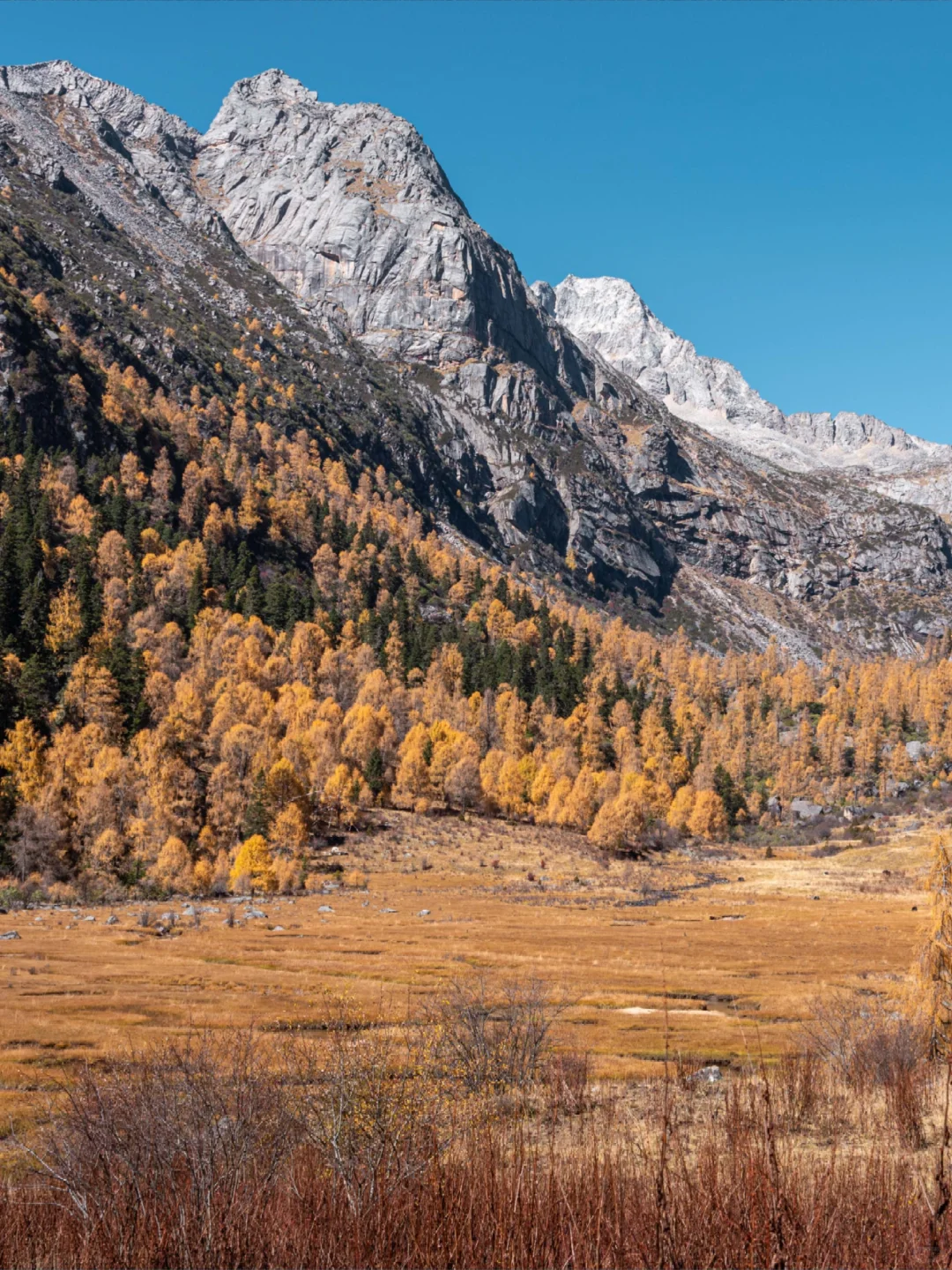 分享一个清净点的周末赏秋秘境?