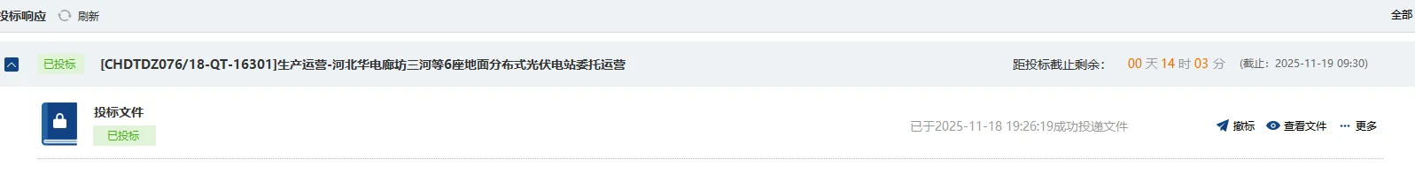 华电、华润平台三个项目的标书终于传完了