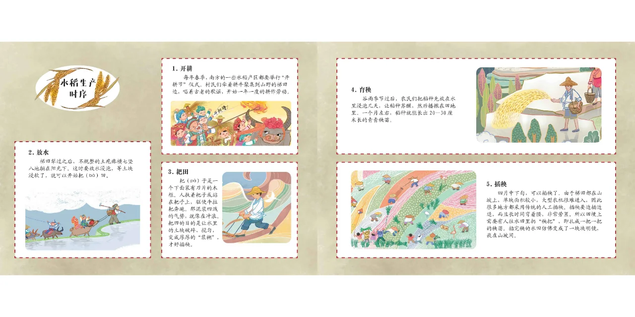 中国原创绘本《春泥稻花香》