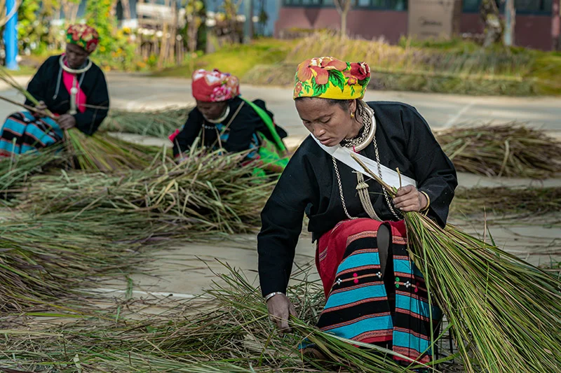 56个民族之佤族——齐心协力盖大房
