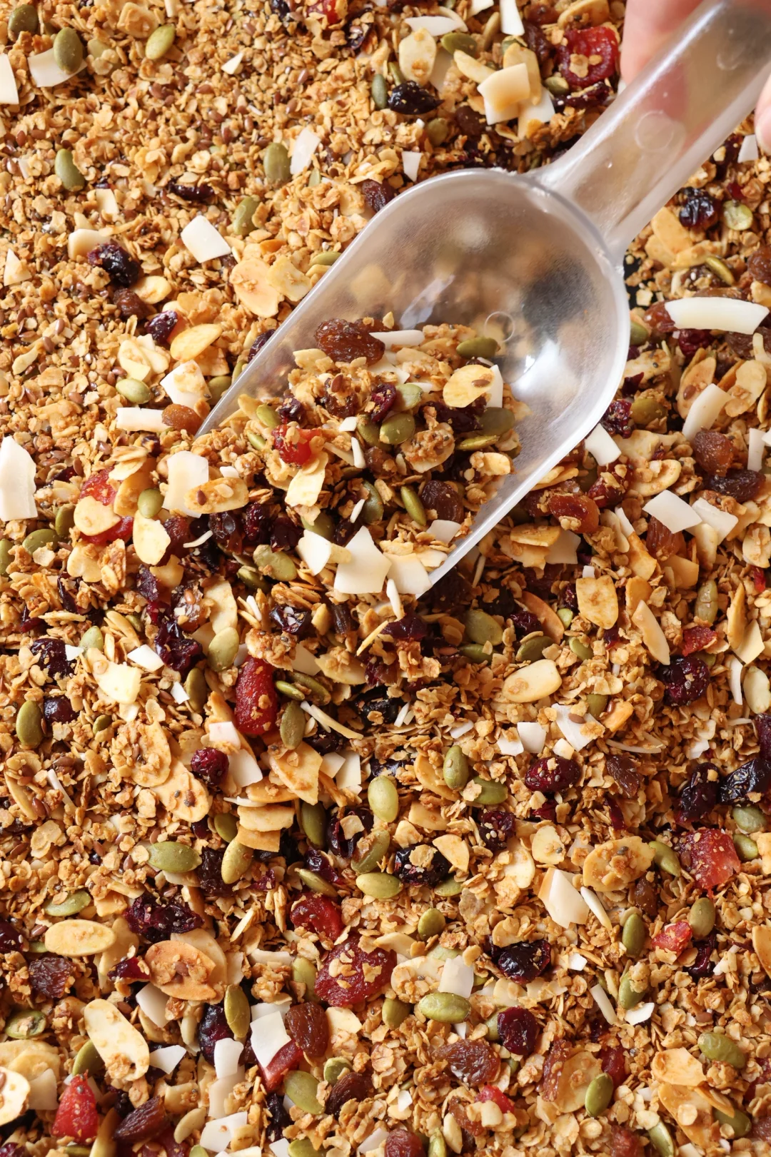 夏日上新☀️手工烘烤燕麦❗️❗️