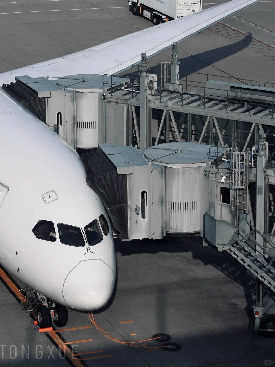 新世代主力A350 & B787