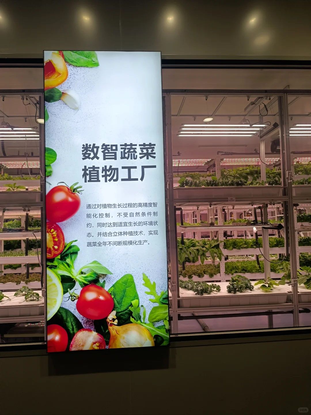 生活中的地理教学素材-四维生态数字农业