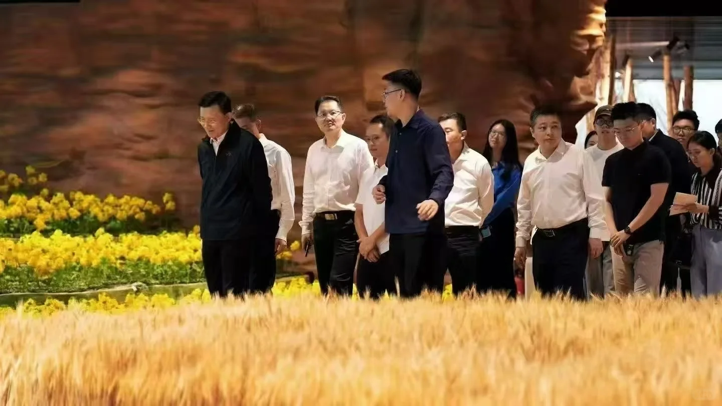 被政府调研组点赞的电商新模式！远方好物