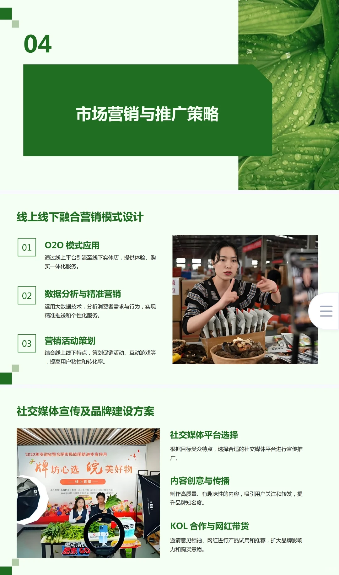 乡村振兴《农村电商扶贫项目》创业计划书