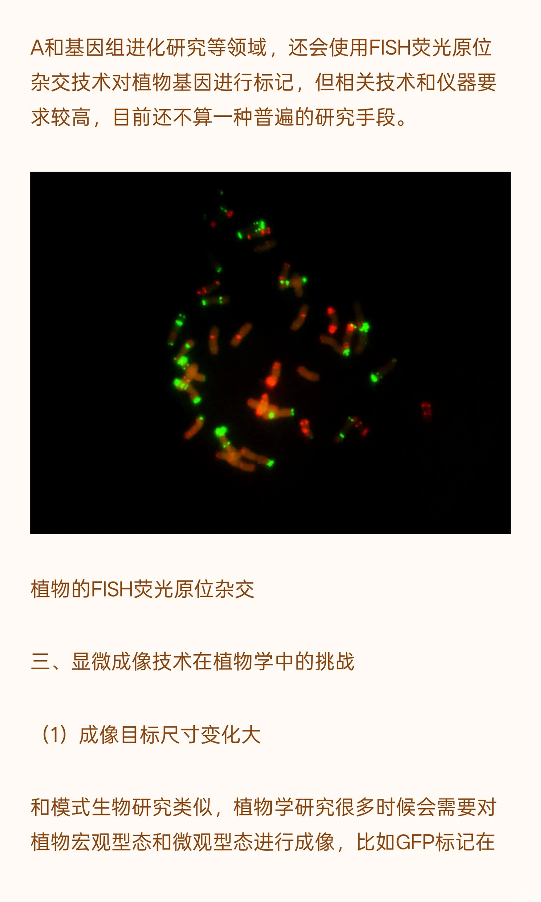 植物学研究用什么显微镜？