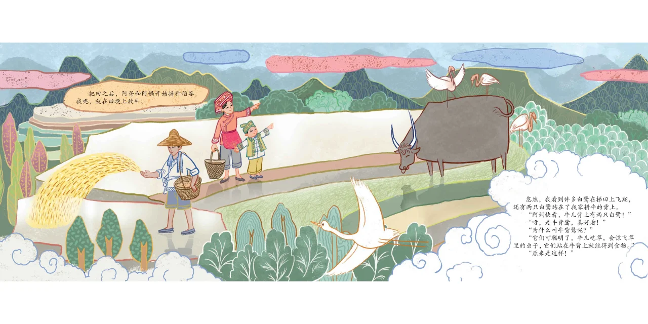 中国原创绘本《春泥稻花香》