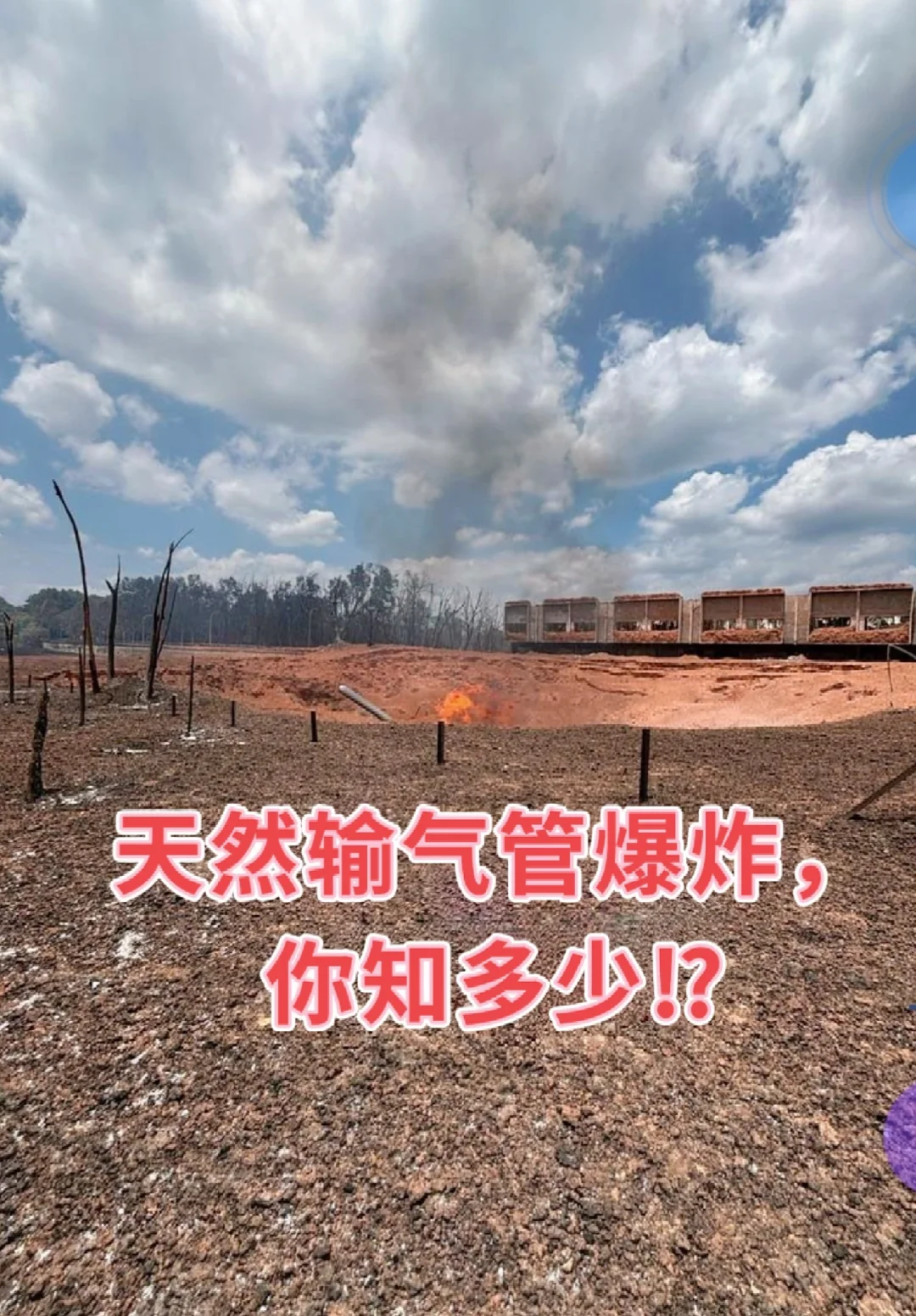 关于天然输气管，你知多少⁉️