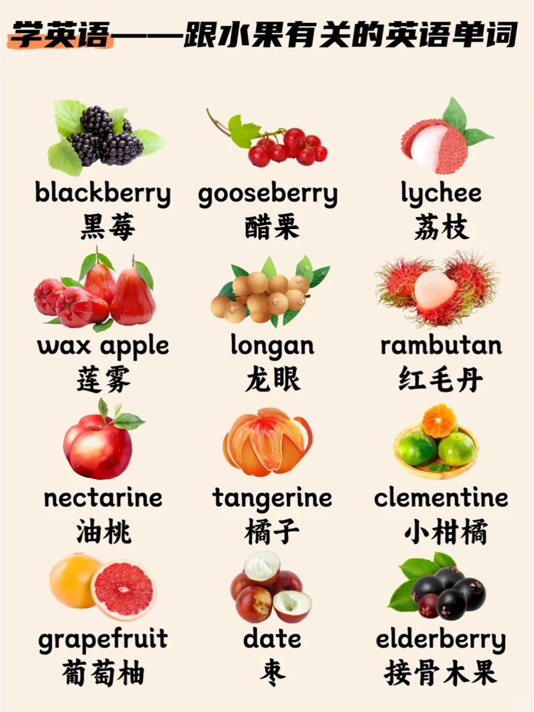 英语天天学——跟水果有关的英语单词