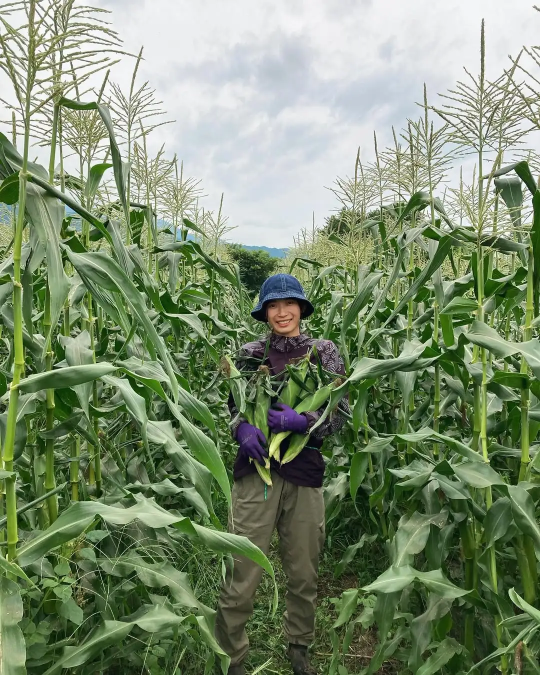 新手 第一年真的别种玉米?