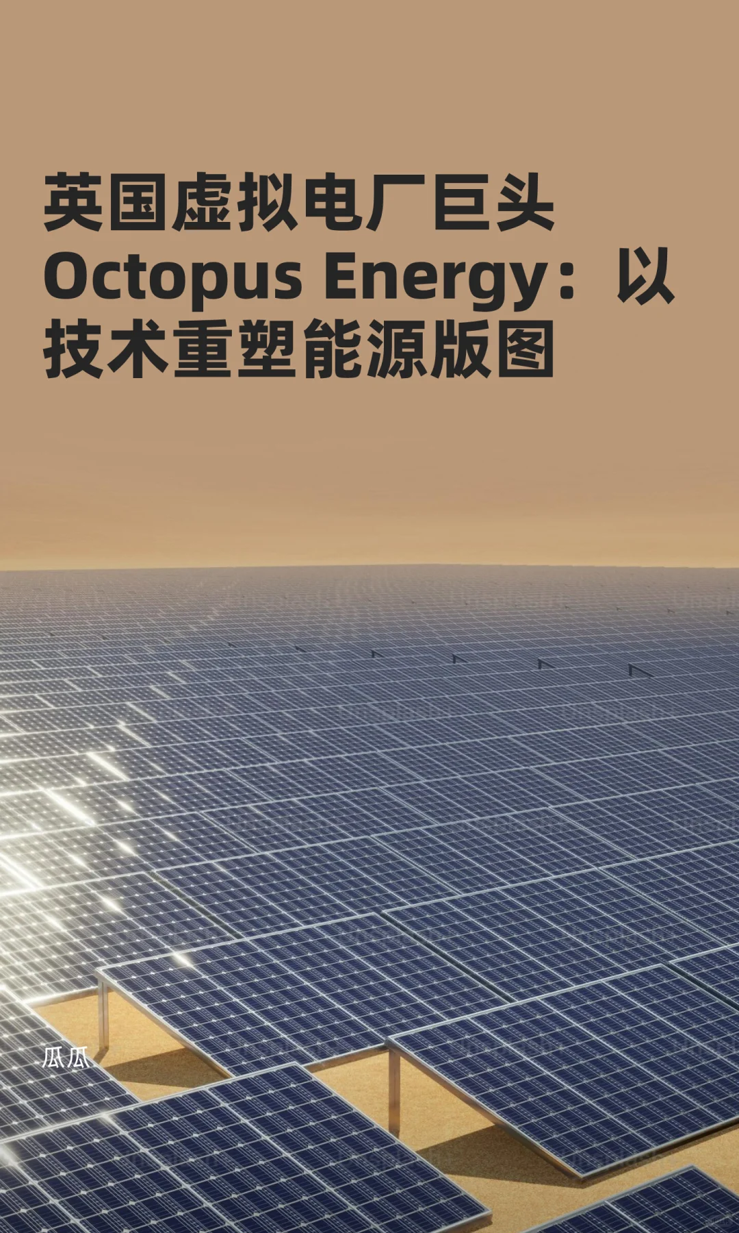 英国虚拟电厂巨头Octopus Energy：以技术重