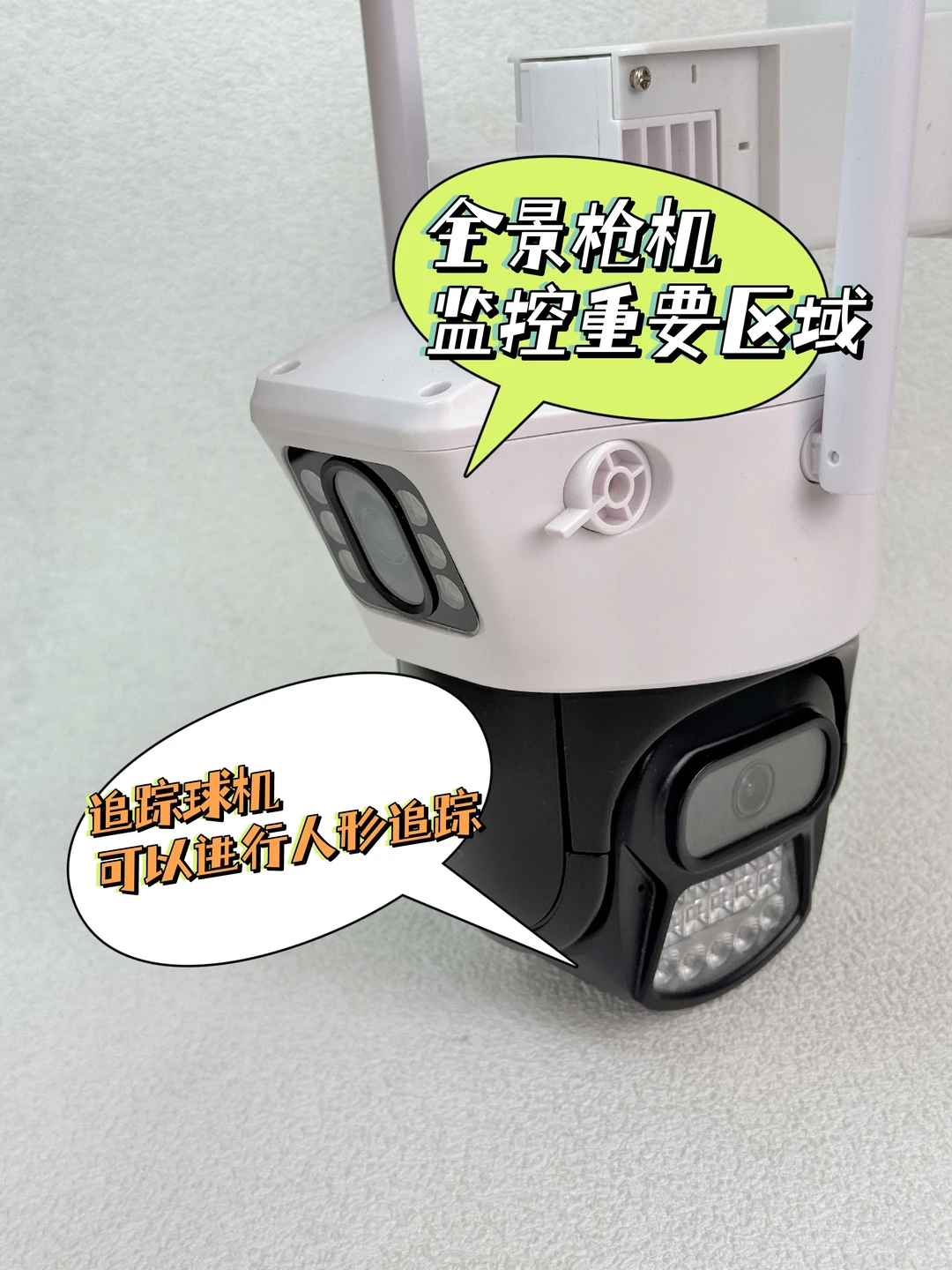 大门口的全天候安全卫士