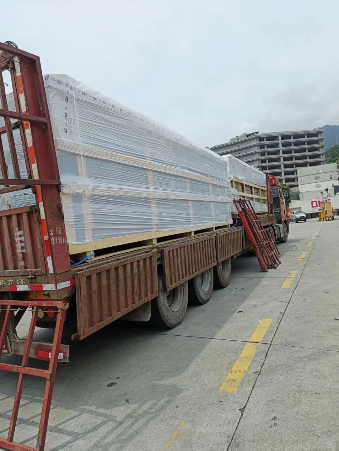 荷兰进口温室种植 潮汐穴盘 装车