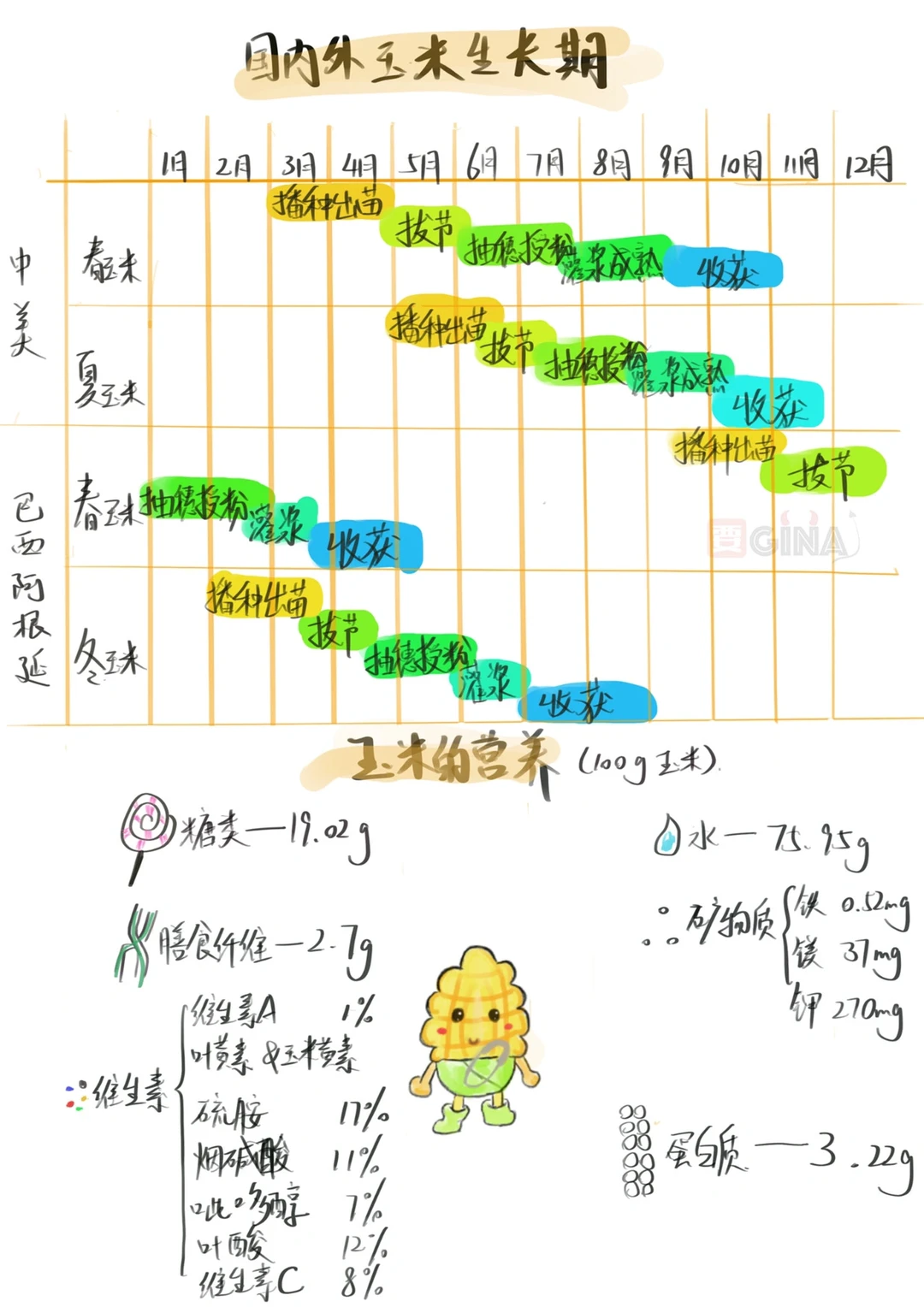 玉米的一些小知识