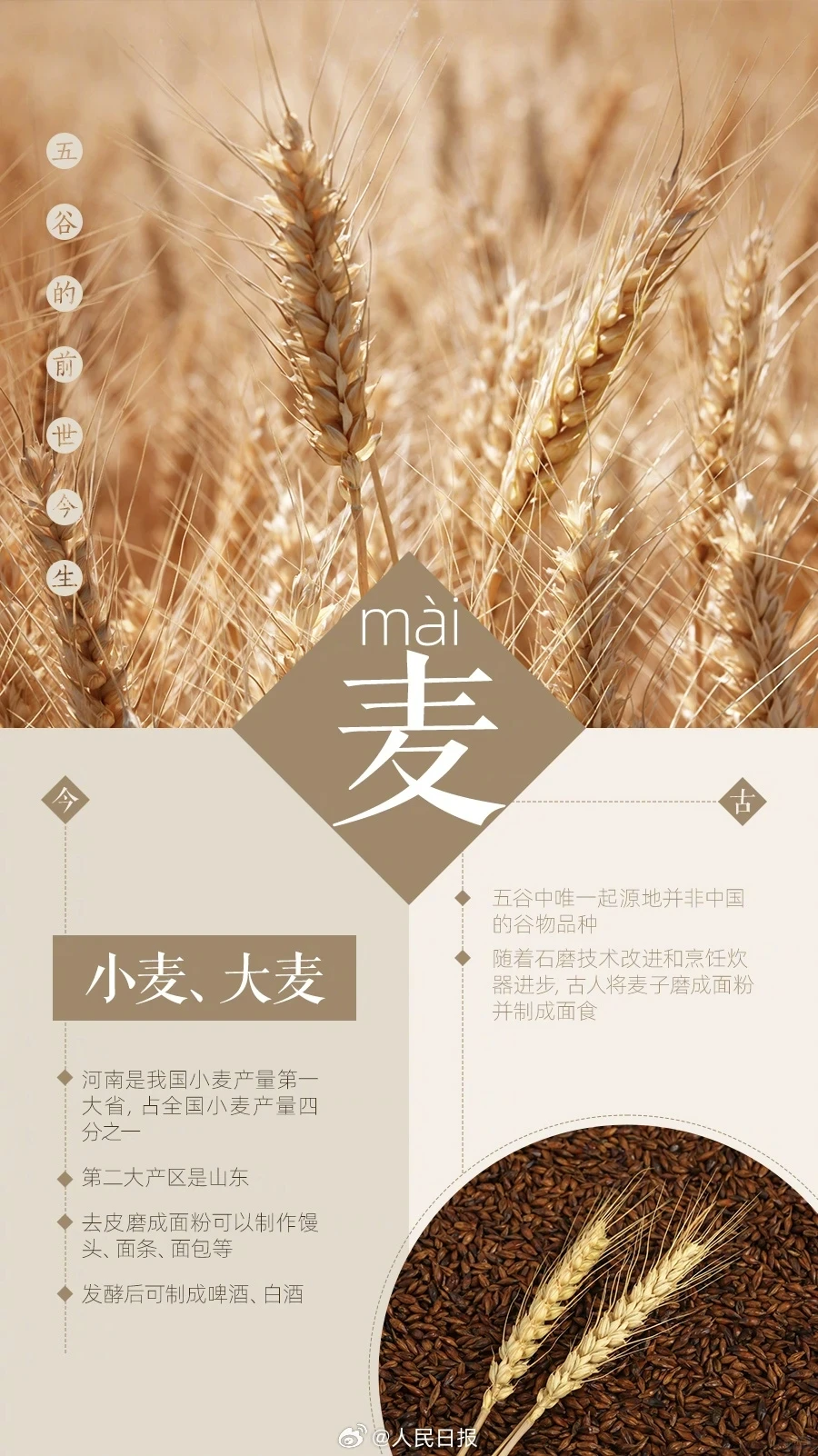 你知道五谷都有哪些吗？