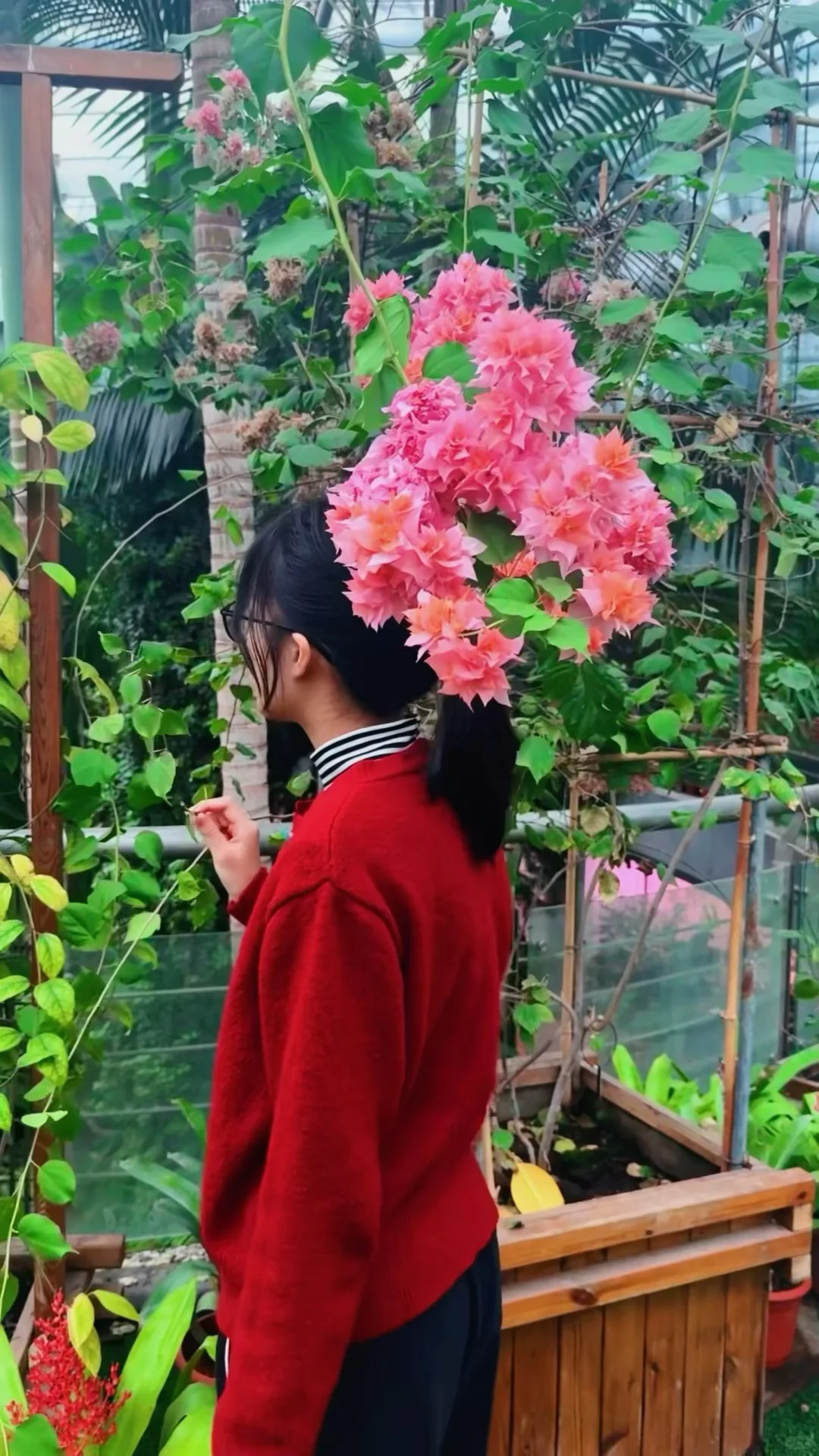 在南京中山植物园带娃邂逅初冬の浪漫