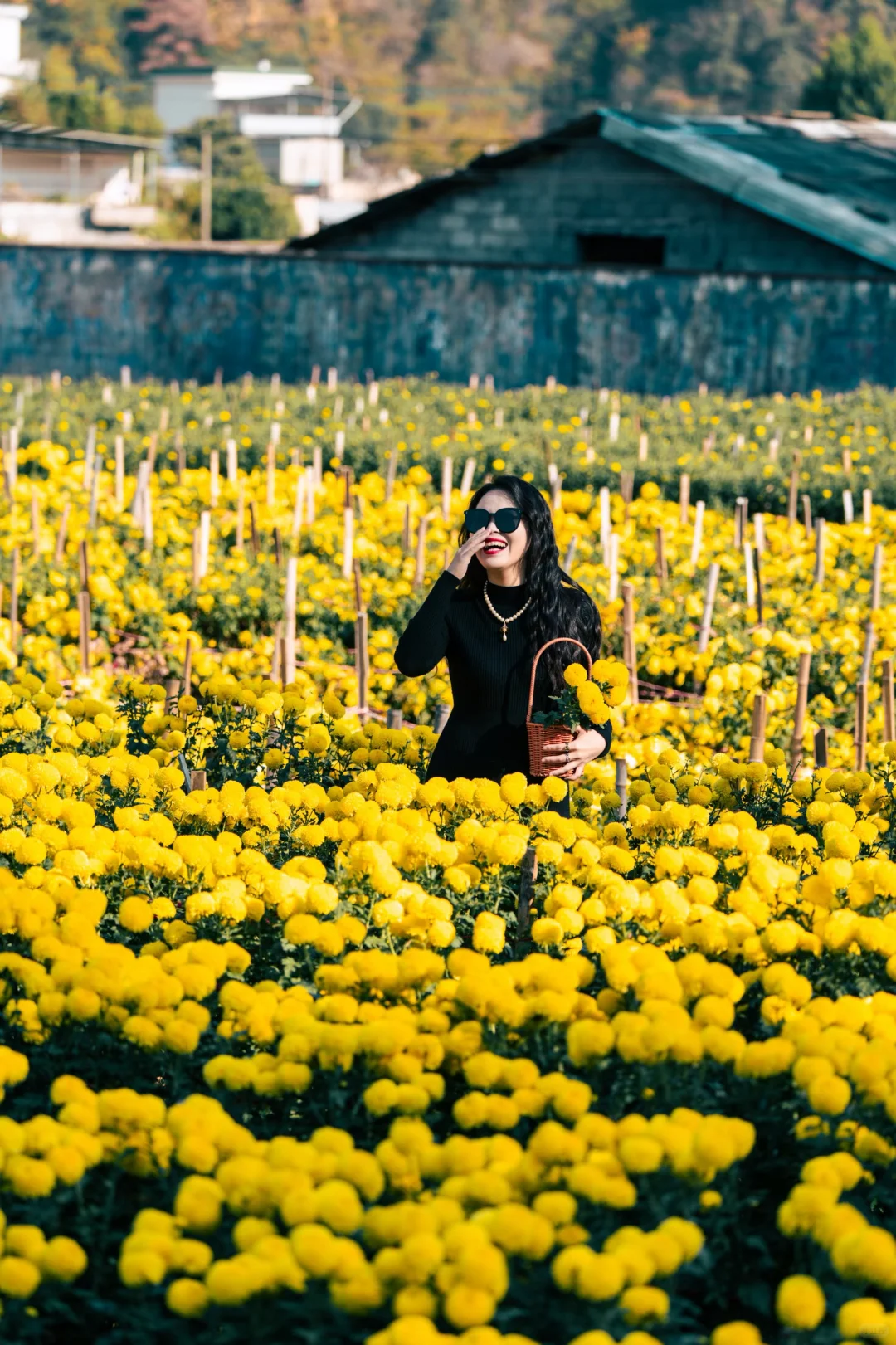 不愧是老祖宗严选，皖南秋色美出新高度！