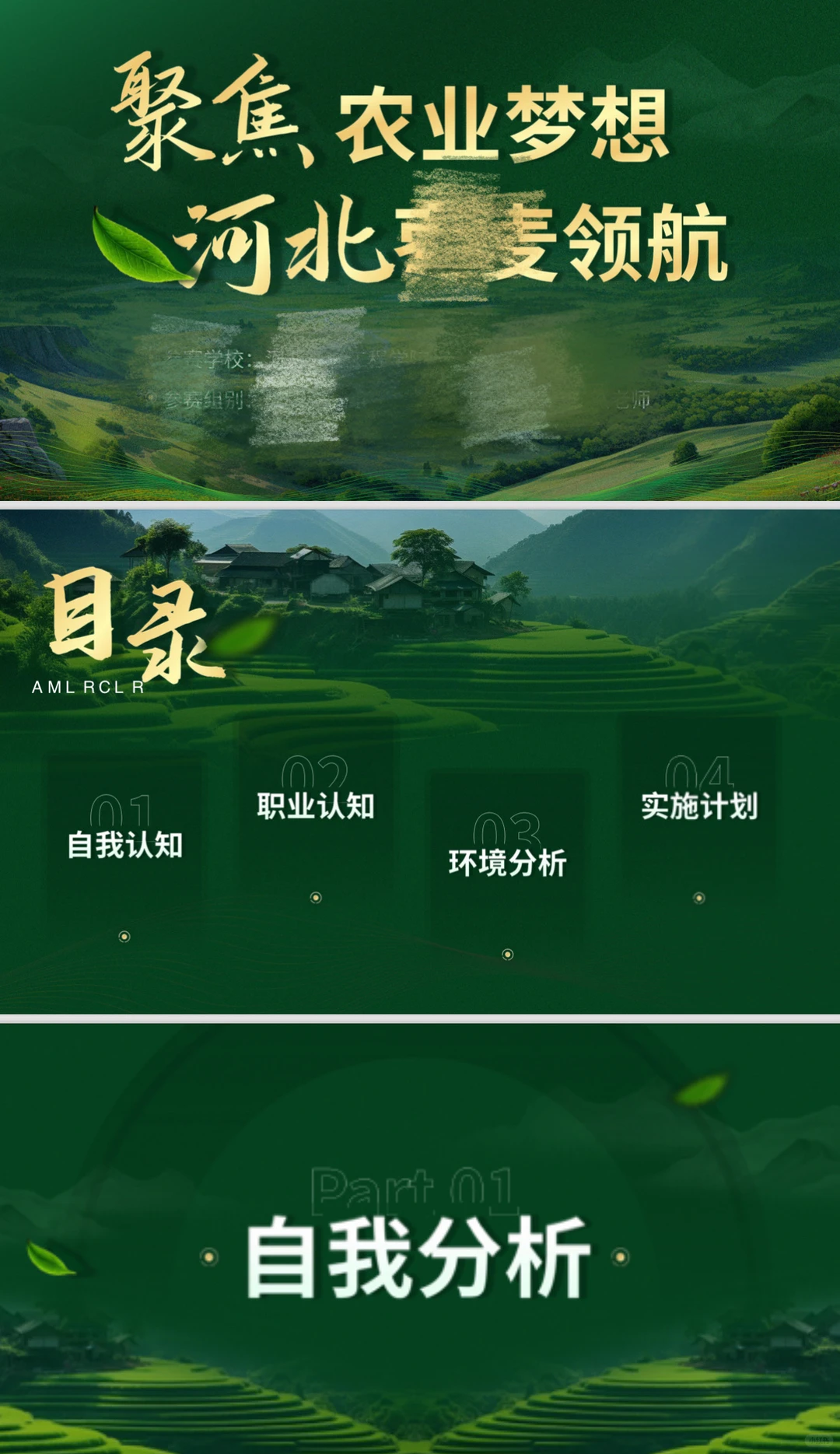 出职业生涯规划大赛ppt模版 乡村振兴 助农