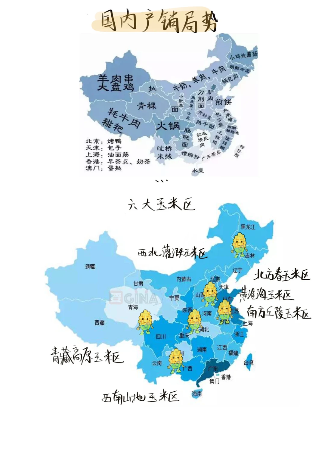 玉米的一些小知识