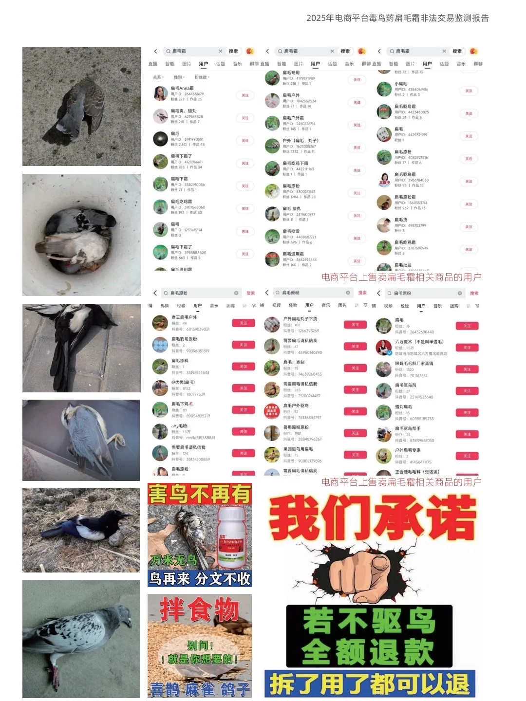 毒鸟药各大平台公然销售，需要你的举报