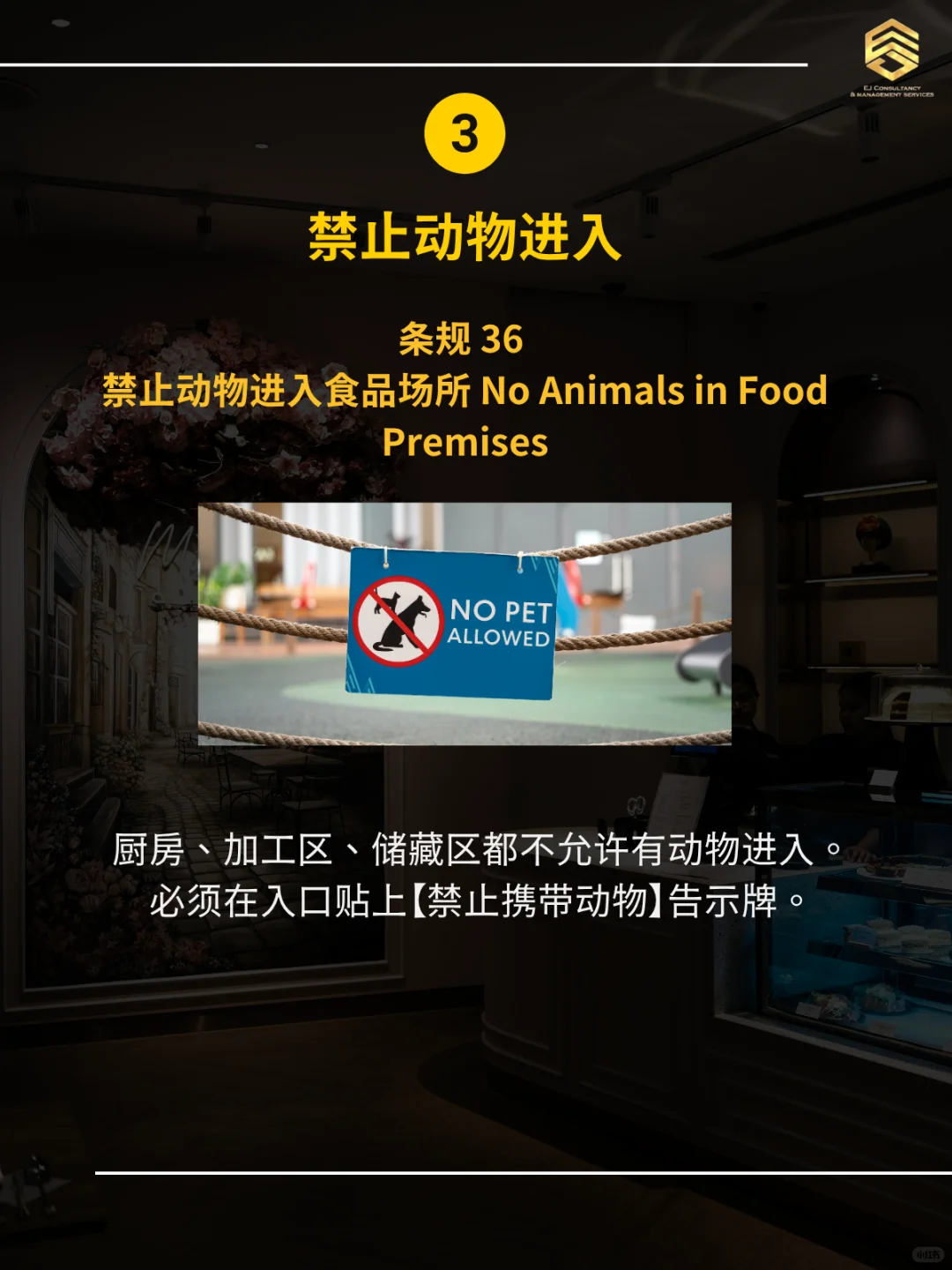 马来开餐饮⚠️卫生局蕞爱查的6个重点