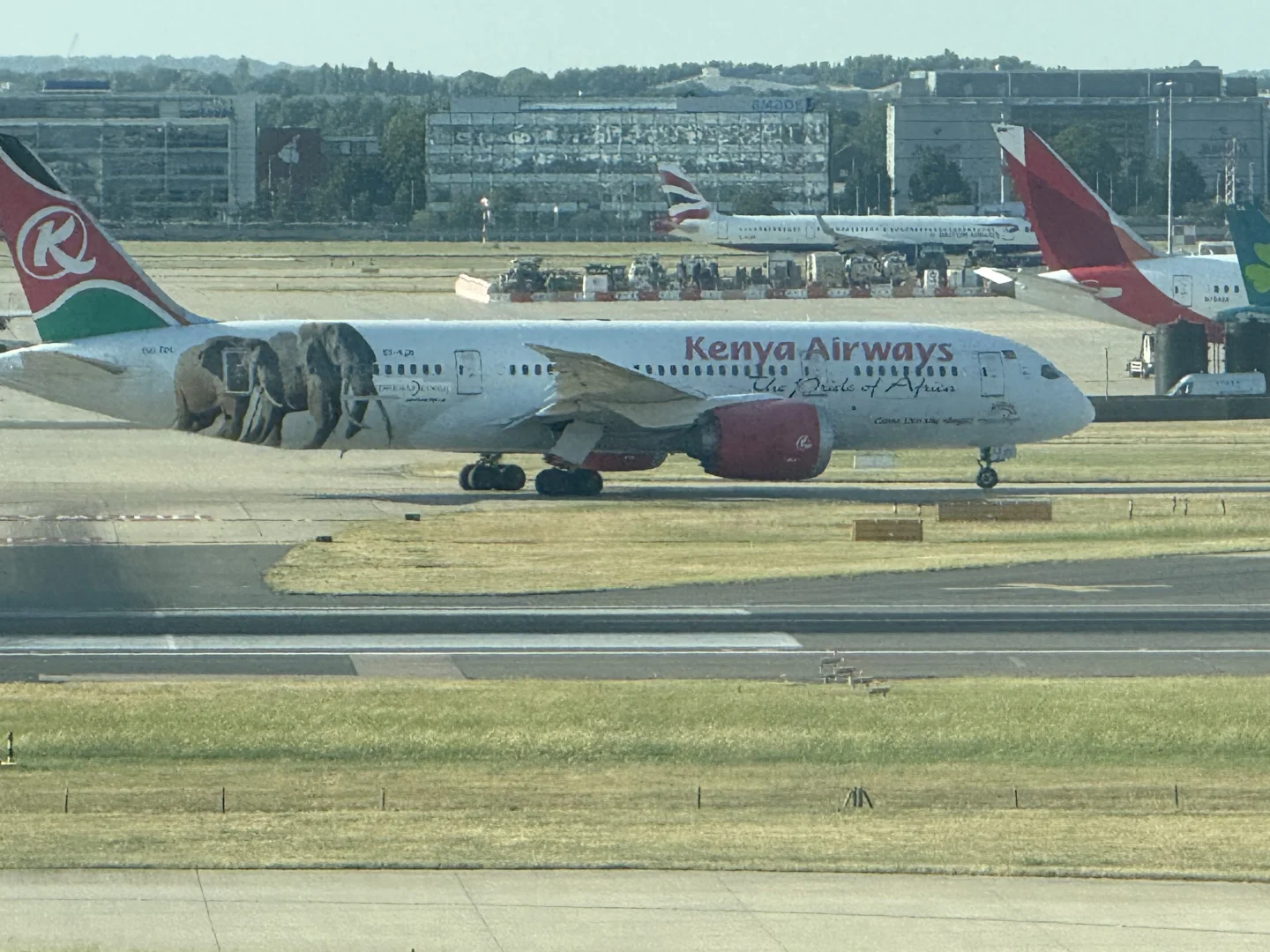 看到了，真飞机✈️✈️