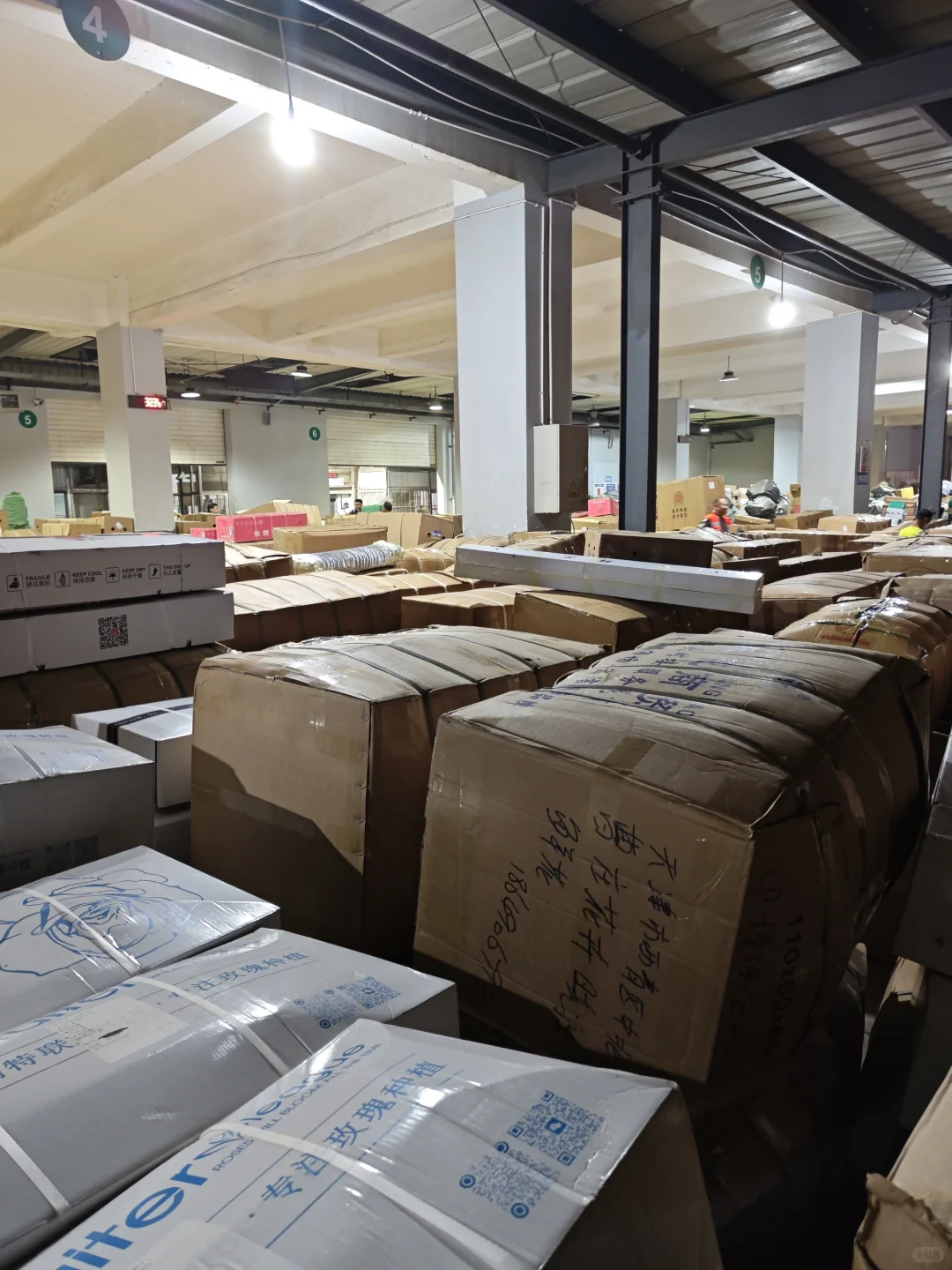 凌晨5点 ｜ 繁忙的昆明机场货运