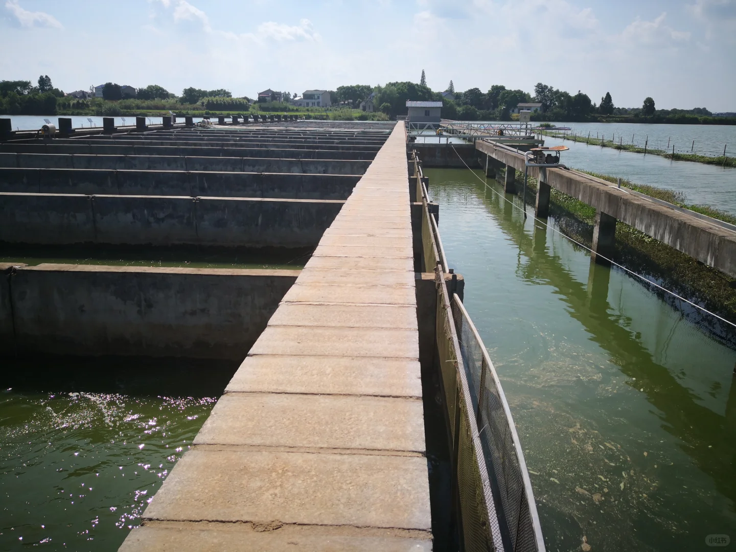 每天认识一家公司——湖南开天农业科技公司