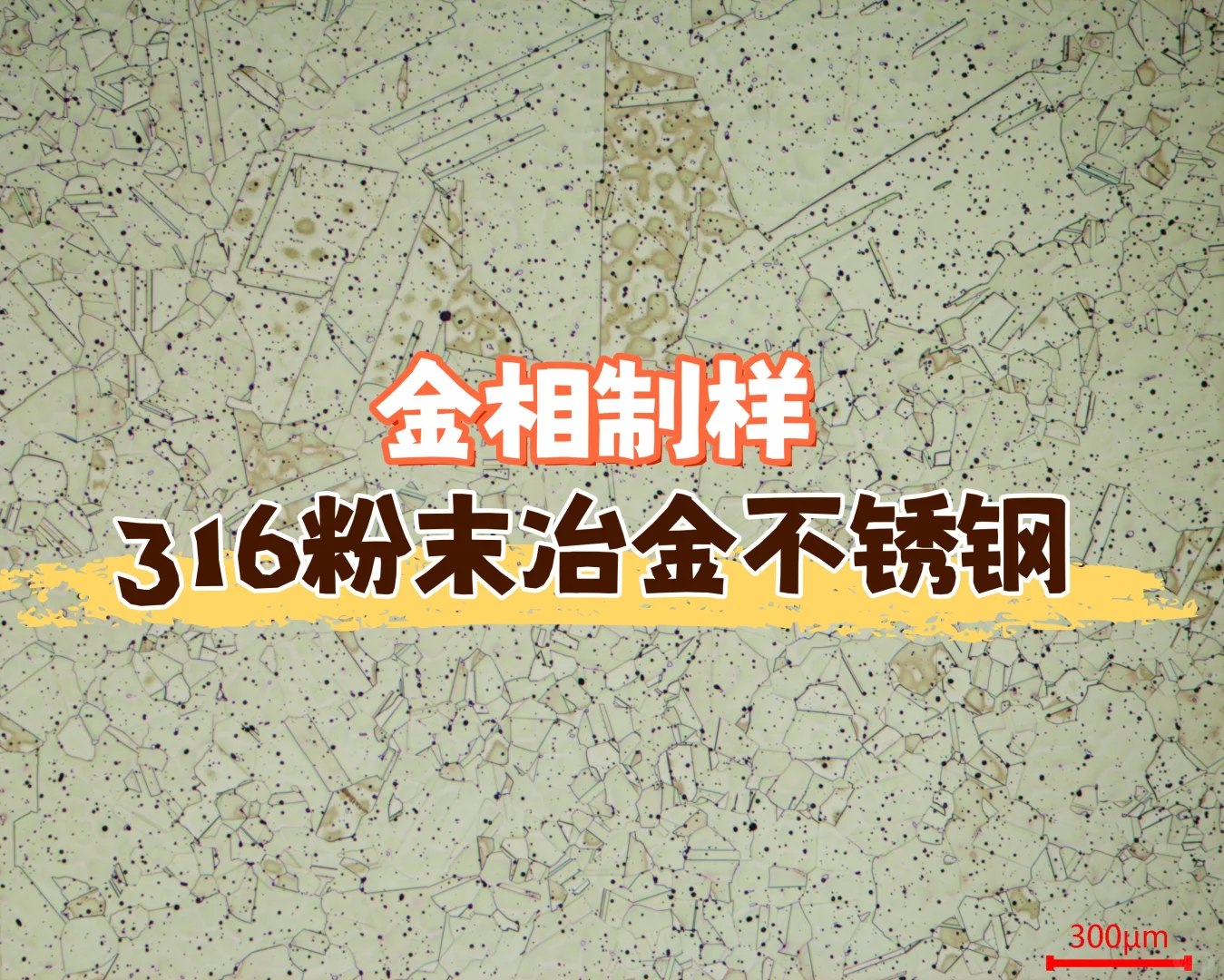 316粉末冶金不锈钢制备流程分享