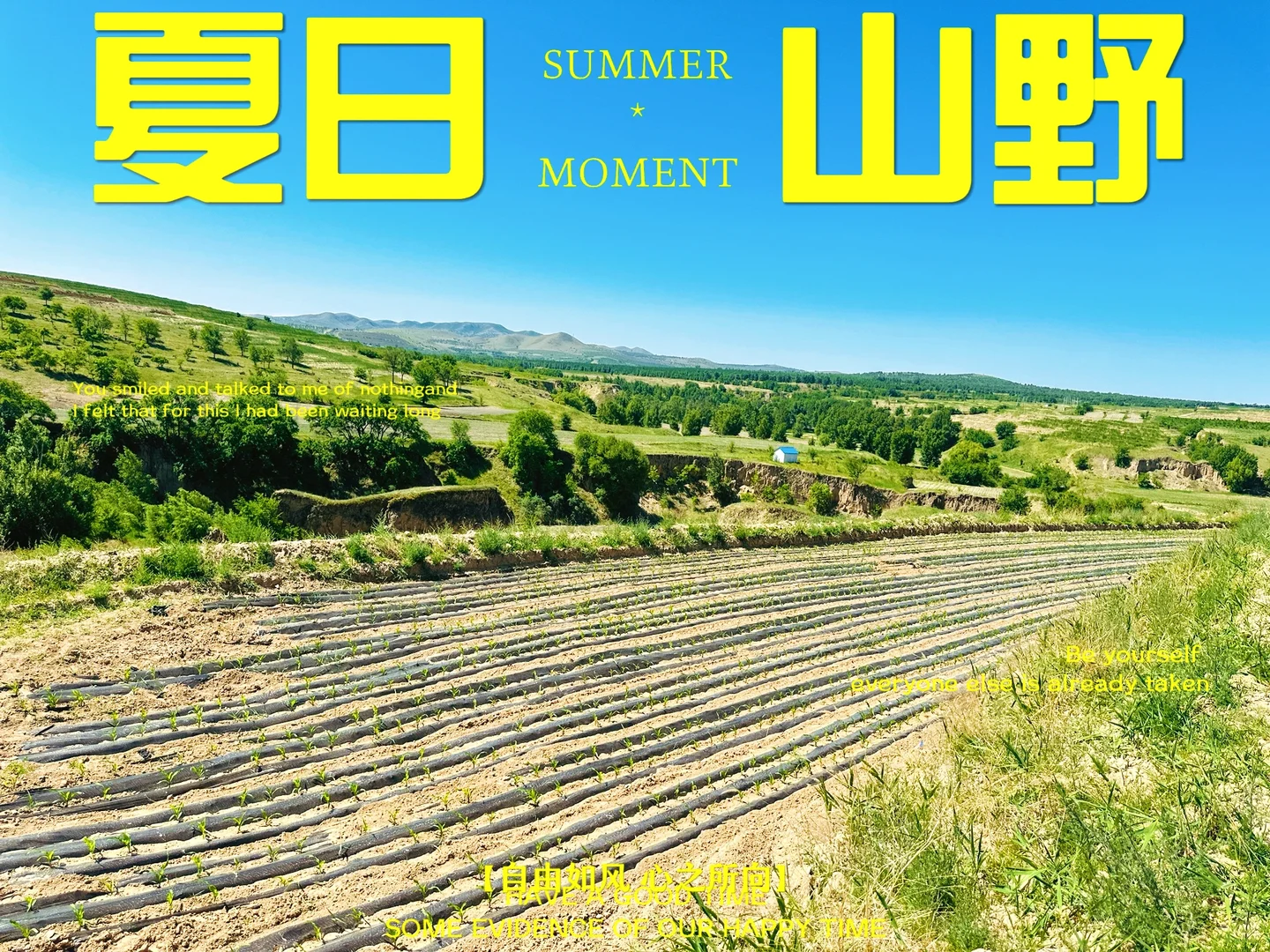 种地很累 但也很快乐?