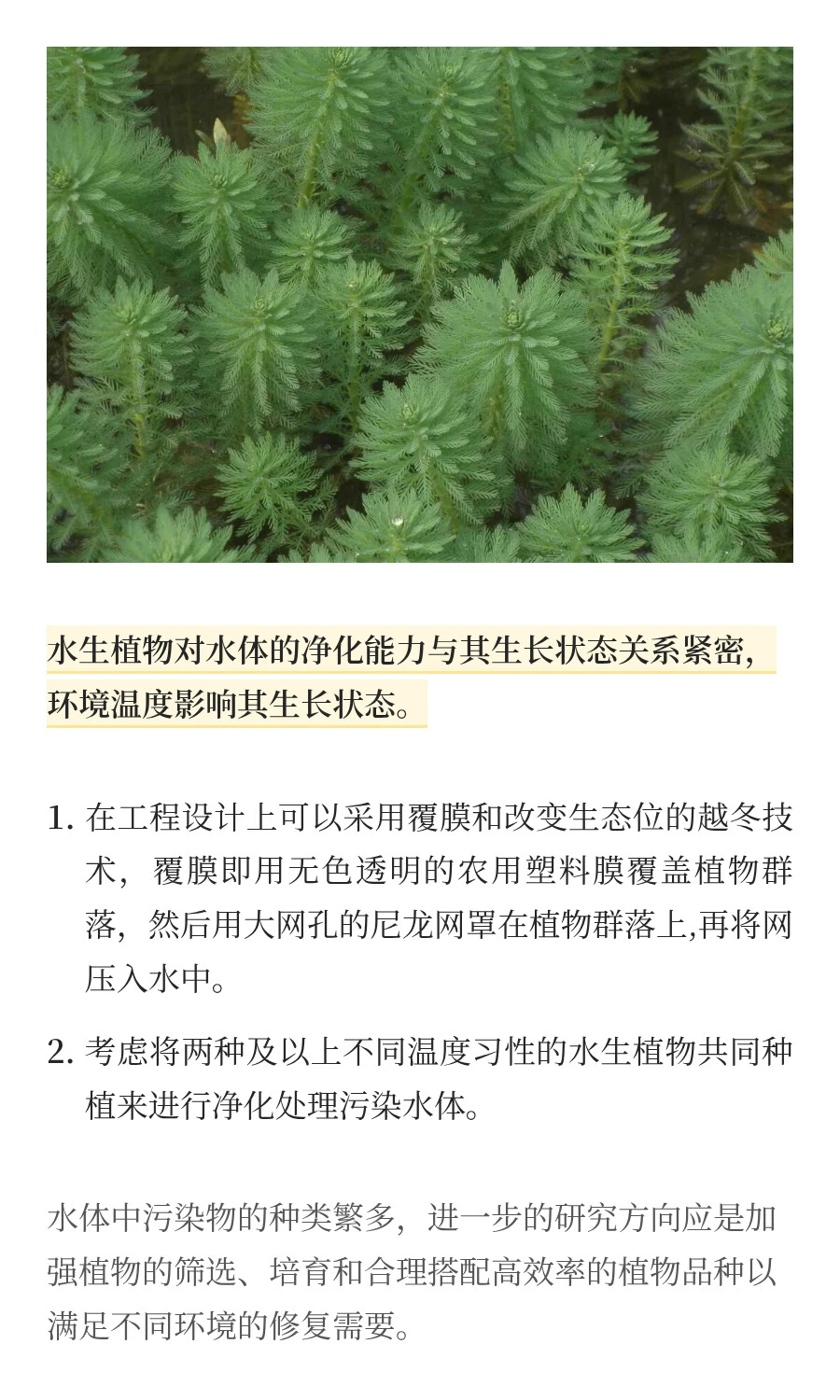 水生植物对污染水体修复的研究进展