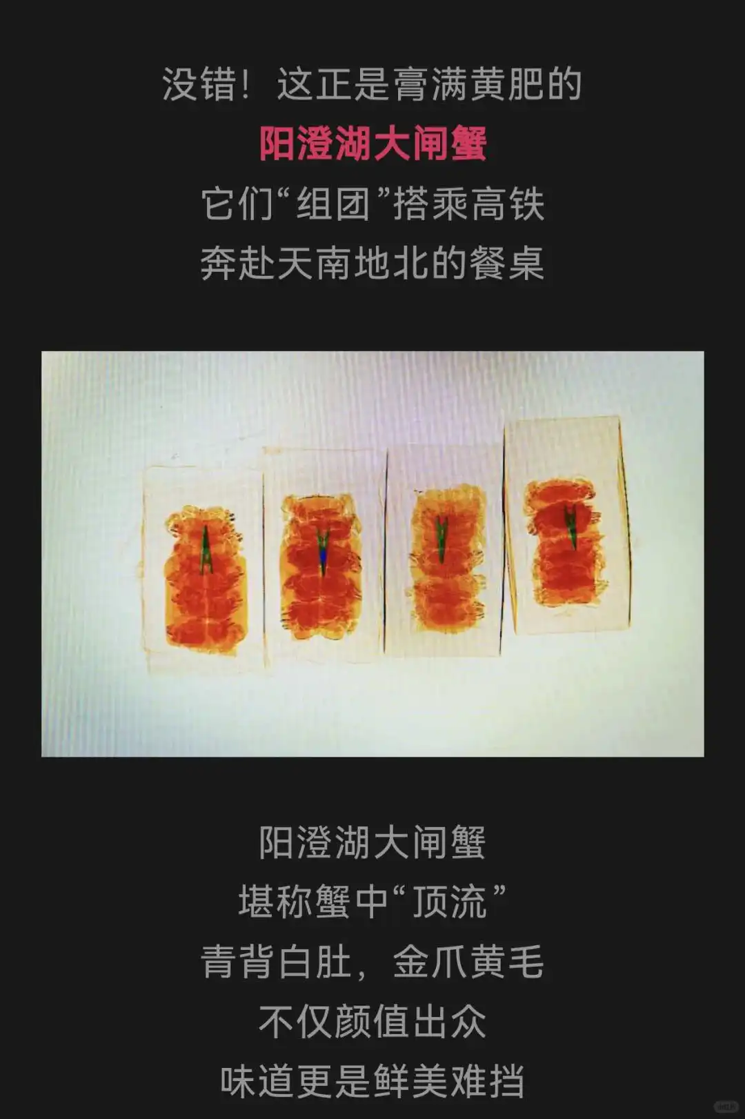 人民日报今日发文,大闸蟹上市的黄金时节