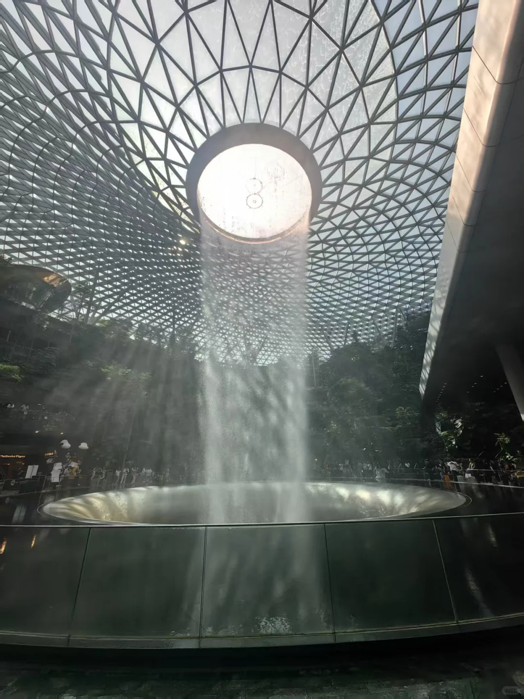 Day74 新加坡樟宜机场,一个不务正业的机场