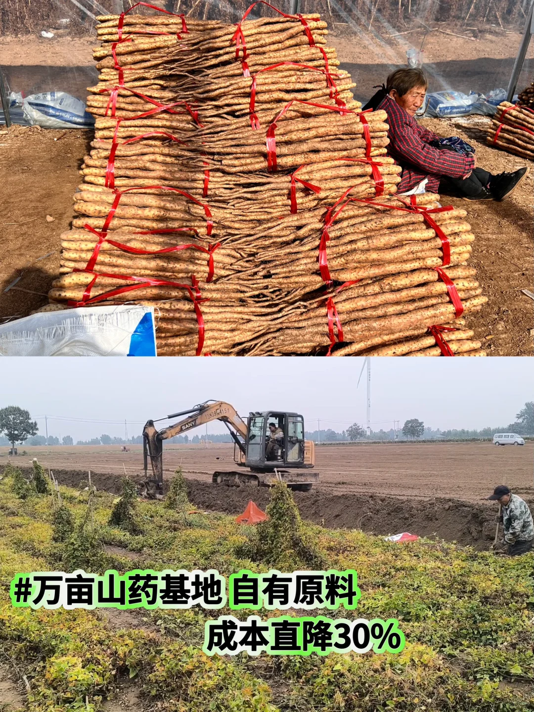 0基础养生创业｜小单起订的食品代加工厂