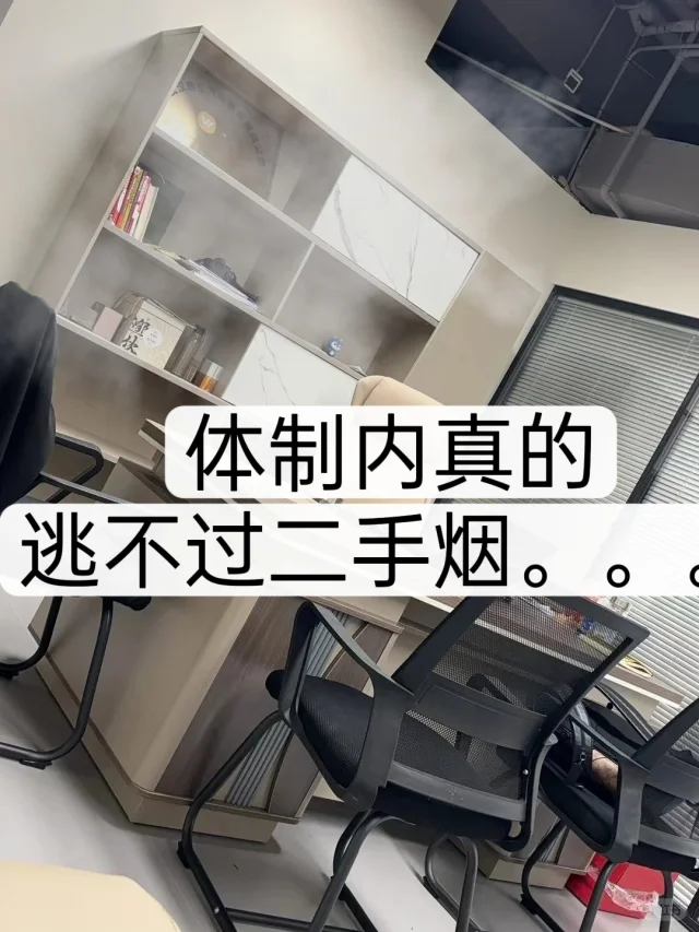 体制内是不是都逃不过二手烟