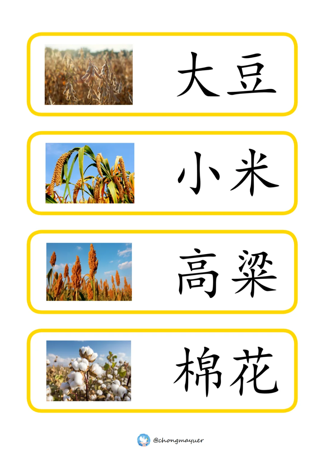 常见秋天农作物词汇卡